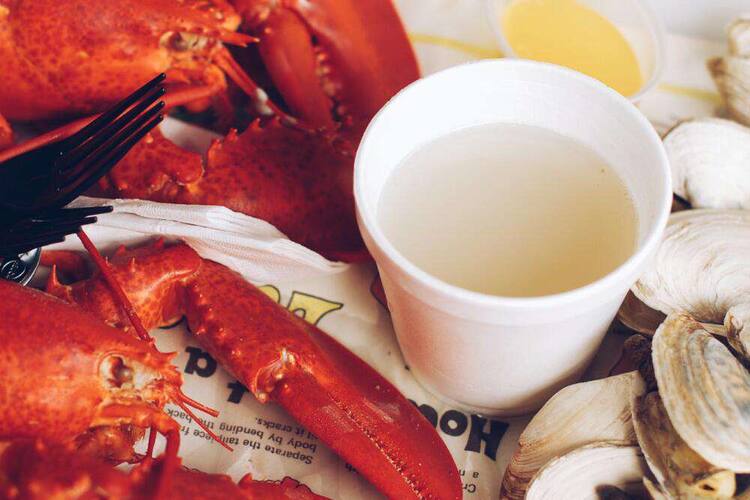 Alive And Kicking Lobsters Cambridge Boston Zomato Alive And Kicking Lobsters Cambridge Boston Zomato
